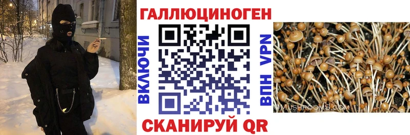 Псилоцибиновые грибы мухоморы  Верхотурье 